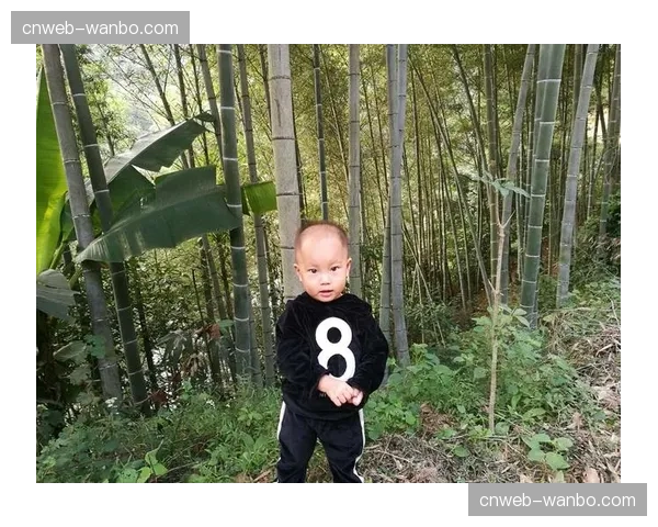 特写：蓝鸟队小弗拉迪米尔·格雷罗在父亲纪念日击出本垒打后指向天空