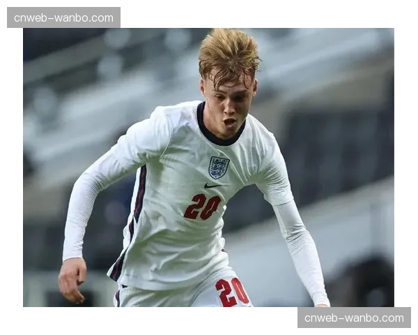 瞬间特写：帕尔默罚入点球后指向天空，告慰上周去世的祖父